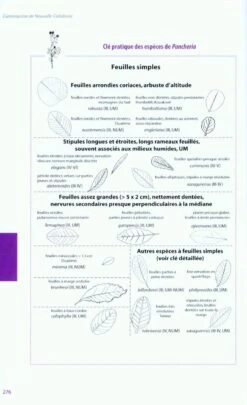 Flore De La Nouvelle-Calédonie, Volume 26: Cunoniaceae [Faune Et Flore Tropicales, Volume 45] -Wildlife Professional Books 220339 4