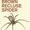 The Brown Recluse Spider 1 The Brown Recluse Spider -Wildlife Professional Books 220427
