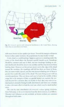 The Brown Recluse Spider 10 The Brown Recluse Spider -Wildlife Professional Books 220427 2