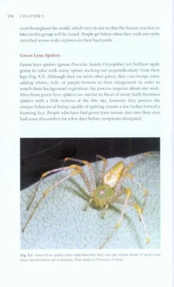 The Brown Recluse Spider 12 The Brown Recluse Spider -Wildlife Professional Books 220427 4
