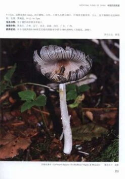 Medical Fungi Of China [Chinese] -Wildlife Professional Books 220660 1
