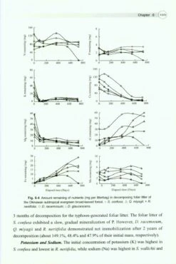 Biogeochemistry Of Subtropical Evergreen Broad-Leaved Forest And Typhoon Disturbance 7 Biogeochemistry Of Subtropical Evergreen Broad-Leaved Forest And Typhoon Disturbance -Wildlife Professional Books 221283 2