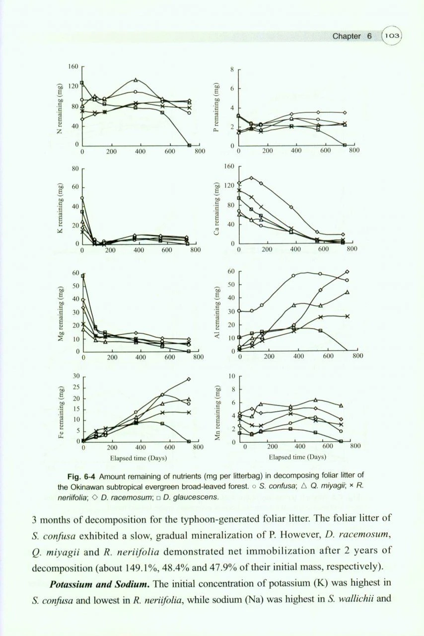 Biogeochemistry Of Subtropical Evergreen Broad-Leaved Forest And Typhoon Disturbance 5 Biogeochemistry Of Subtropical Evergreen Broad-Leaved Forest And Typhoon Disturbance - Image 3