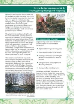 Devon Hedges 12 Devon Hedges -Wildlife Professional Books 221637 3