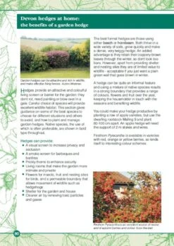 Devon Hedges 15 Devon Hedges -Wildlife Professional Books 221637 6