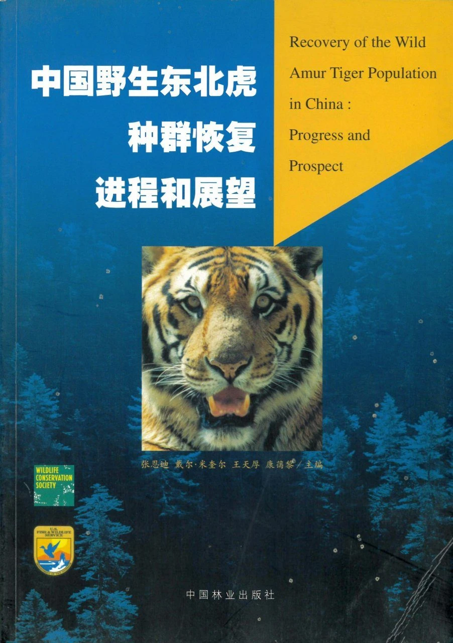 Recovery Of The Wild Amur Tiger Population In China 3 Recovery Of The Wild Amur Tiger Population In China