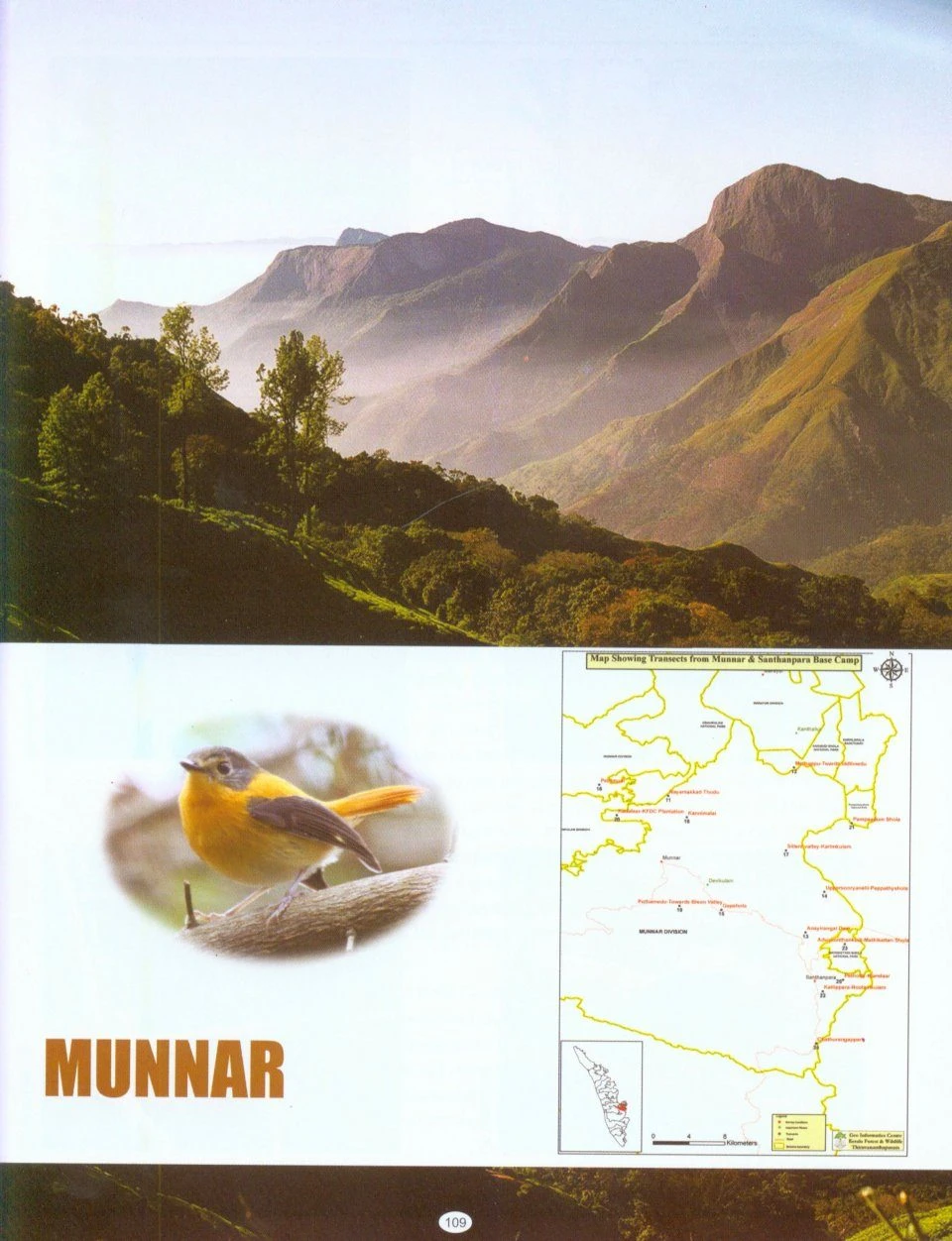 Along The Trail Of Sálim Ali - A Study Of Avifauna, Their Habitats And Ecological History 4 Along The Trail Of Sálim Ali - A Study Of Avifauna, Their Habitats And Ecological History - Image 2