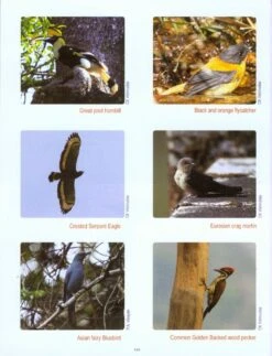 Along The Trail Of Sálim Ali - A Study Of Avifauna, Their Habitats And Ecological History 9 Along The Trail Of Sálim Ali - A Study Of Avifauna, Their Habitats And Ecological History -Wildlife Professional Books 222888 2