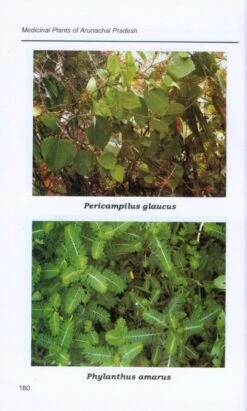 Medicinal Plants Of Arunachal Pradesh -Wildlife Professional Books 222921 2