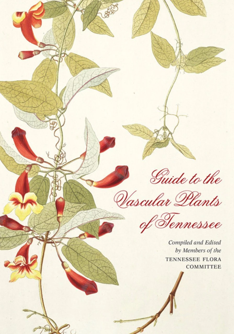 Guide To The Vascular Plants Of Tennessee 3 Guide To The Vascular Plants Of Tennessee