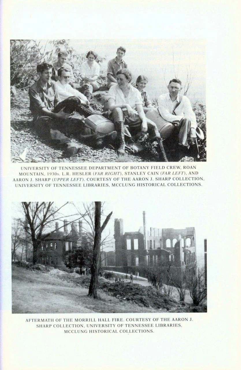 Guide To The Vascular Plants Of Tennessee 5 Guide To The Vascular Plants Of Tennessee - Image 3