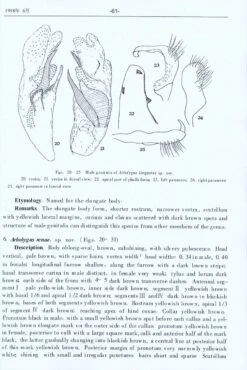 Research Materials On Pentatomidae In China -Wildlife Professional Books 223419 2
