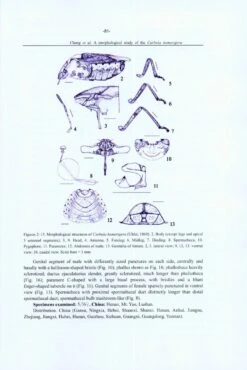 Research Materials On Pentatomidae In China -Wildlife Professional Books 223419 4