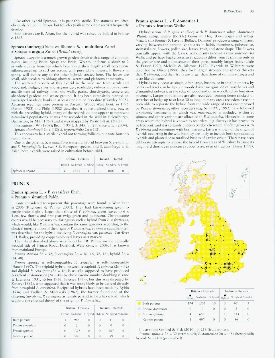 Hybrid Flora Of The British Isles 4 Hybrid Flora Of The British Isles - Image 2