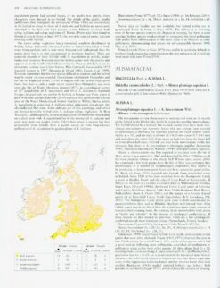 Hybrid Flora Of The British Isles 10 Hybrid Flora Of The British Isles -Wildlife Professional Books 223449 3