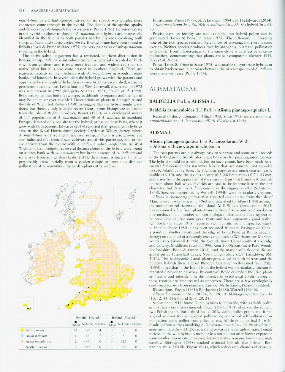 Hybrid Flora Of The British Isles 6 Hybrid Flora Of The British Isles - Image 4