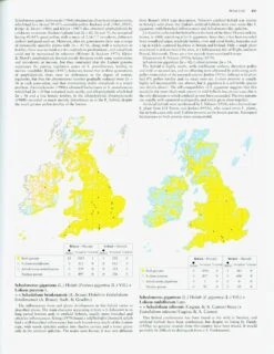Hybrid Flora Of The British Isles 11 Hybrid Flora Of The British Isles -Wildlife Professional Books 223449 4
