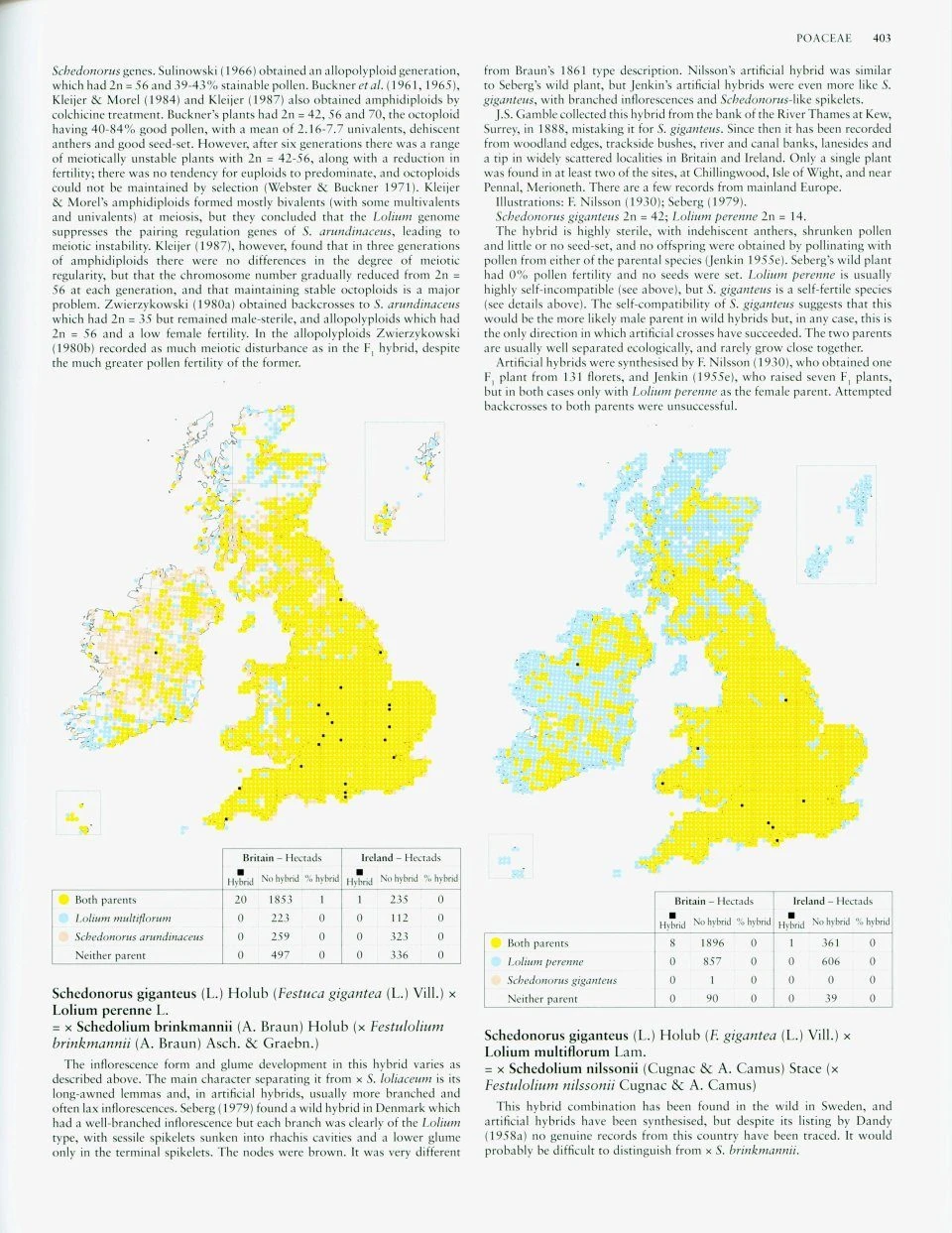 Hybrid Flora Of The British Isles 7 Hybrid Flora Of The British Isles - Image 5