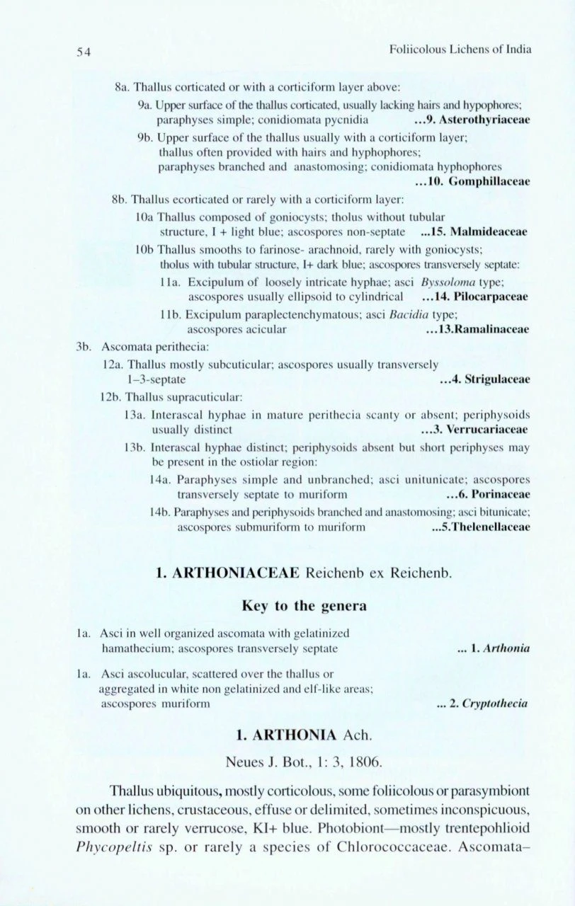 Foliicolous Lichens Of India 5 Foliicolous Lichens Of India - Image 3