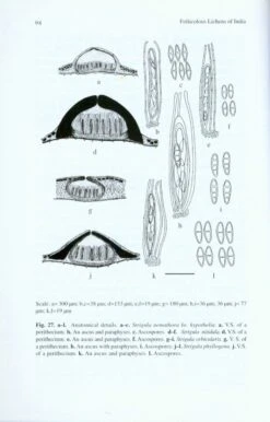 Foliicolous Lichens Of India 10 Foliicolous Lichens Of India -Wildlife Professional Books 223592 3