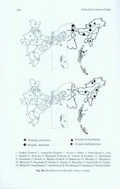 Foliicolous Lichens Of India 11 Foliicolous Lichens Of India -Wildlife Professional Books 223592 4