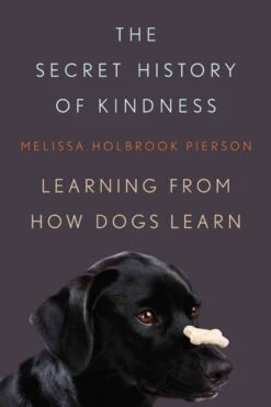 Secret History Of Kindness
