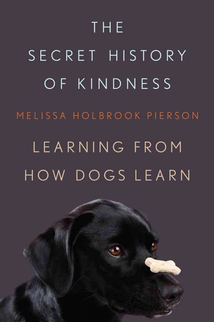 Secret History Of Kindness 3 Secret History Of Kindness