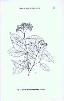 Flora Of West Bengal, Volume 2 11 Flora Of West Bengal, Volume 2 -Wildlife Professional Books 223998 4