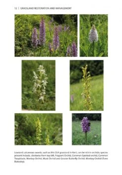 Grassland Restoration And Management -Wildlife Professional Books 224166 2