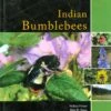 Indian Bumblebees 1 Indian Bumblebees -Wildlife Professional Books 224497