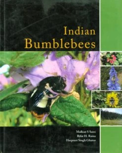 Indian Bumblebees