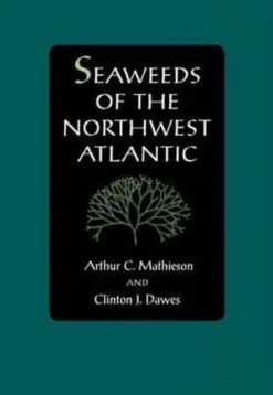 Seaweeds Of The Northwest Atlantic