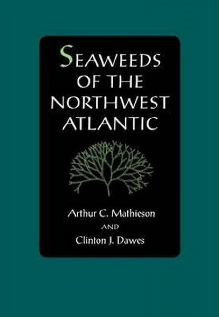 Seaweeds Of The Northwest Atlantic 3 Seaweeds Of The Northwest Atlantic
