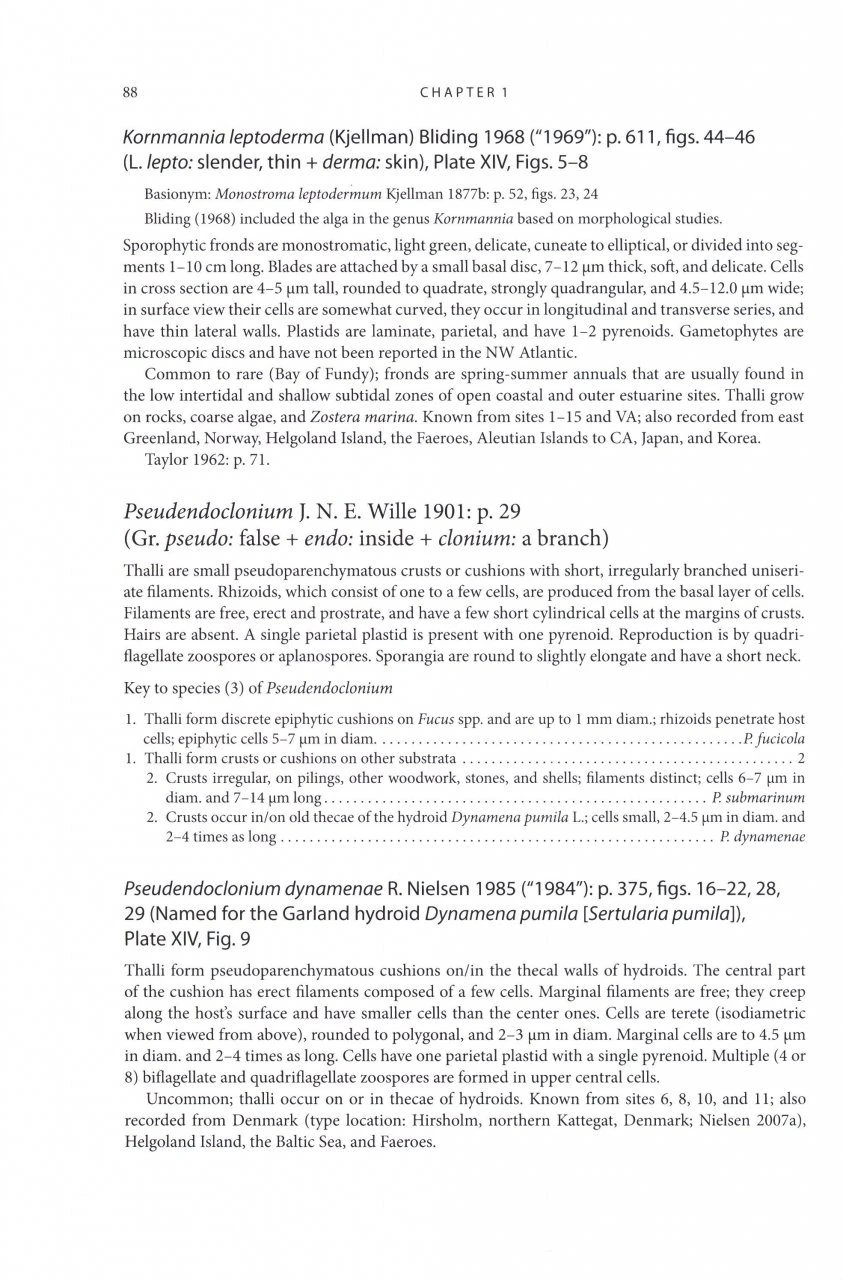 Seaweeds Of The Northwest Atlantic 4 Seaweeds Of The Northwest Atlantic - Image 2