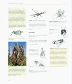 Richtersveld -Wildlife Professional Books 224700 4