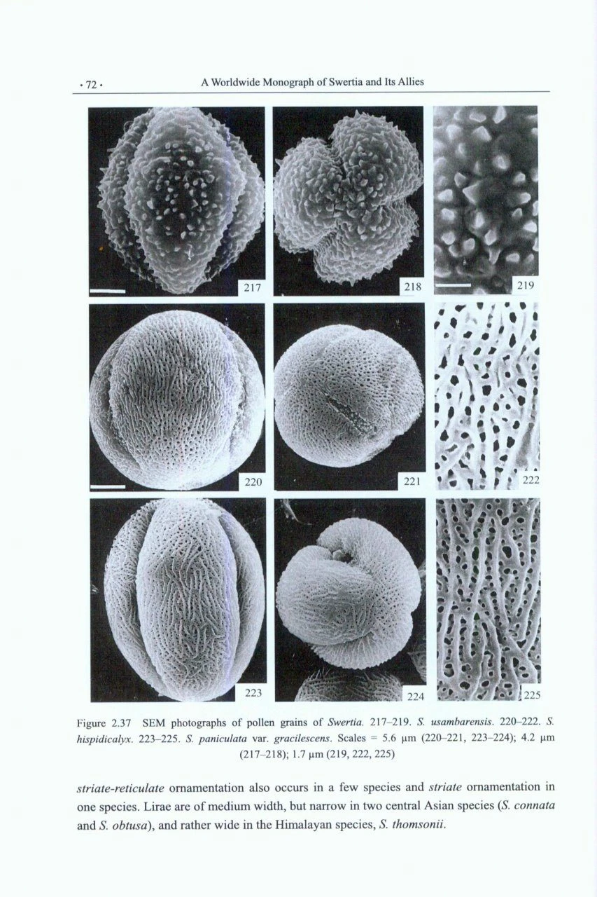 A Worldwide Monograph Of Swertia And Its Allies 4 A Worldwide Monograph Of Swertia And Its Allies - Image 2