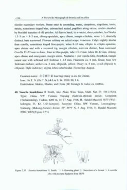 A Worldwide Monograph Of Swertia And Its Allies 9 A Worldwide Monograph Of Swertia And Its Allies -Wildlife Professional Books 224714 2