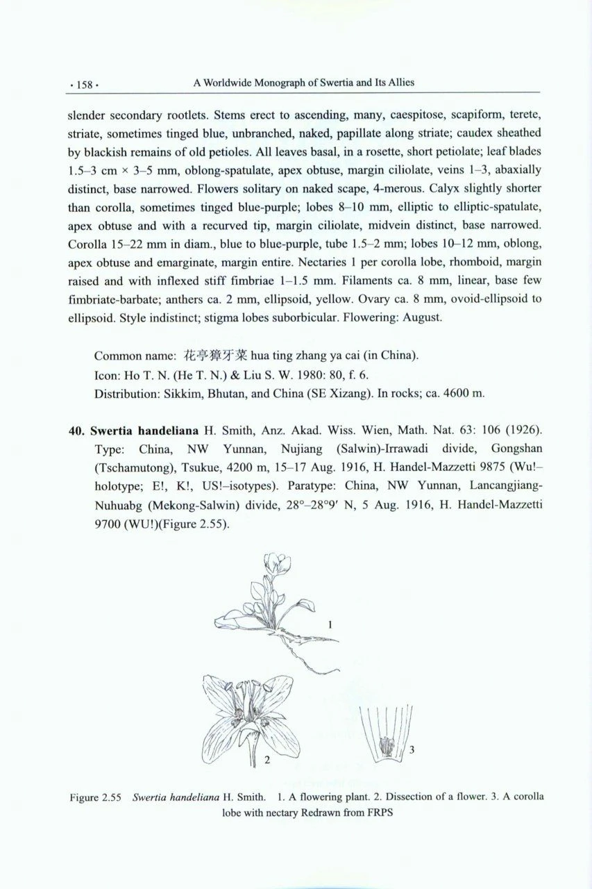 A Worldwide Monograph Of Swertia And Its Allies 5 A Worldwide Monograph Of Swertia And Its Allies - Image 3