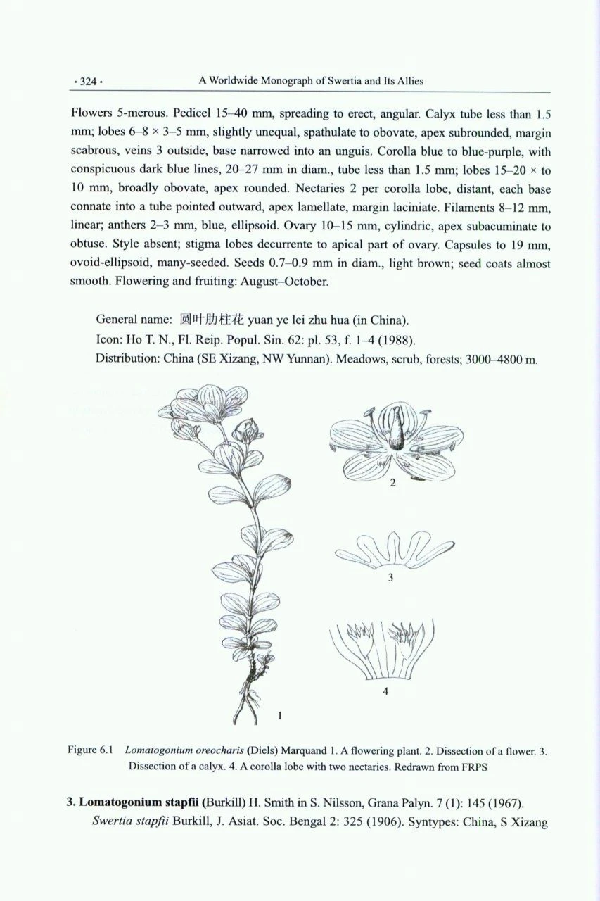 A Worldwide Monograph Of Swertia And Its Allies 7 A Worldwide Monograph Of Swertia And Its Allies - Image 5