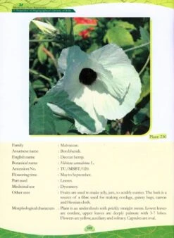 Medicinal Plant Repertoire -Wildlife Professional Books 225314 3