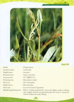 Medicinal Plant Repertoire -Wildlife Professional Books 225314 4