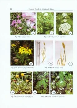 Current Trends In Medicinal Botany -Wildlife Professional Books 225546 1