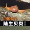 Illustrated Handbook Of Common Terrestrial Mollusks In China [Chinese] -Wildlife Professional Books 225664