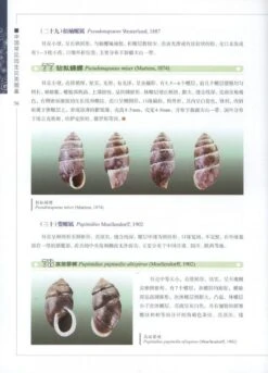 Illustrated Handbook Of Common Terrestrial Mollusks In China [Chinese] -Wildlife Professional Books 225664 1