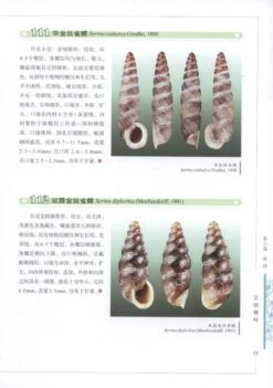 Illustrated Handbook Of Common Terrestrial Mollusks In China [Chinese] -Wildlife Professional Books 225664 2