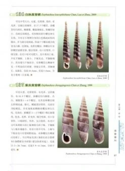 Illustrated Handbook Of Common Terrestrial Mollusks In China [Chinese] -Wildlife Professional Books 225664 3