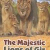 The Majestic Lions Of Gir 2 The Majestic Lions Of Gir -Wildlife Professional Books 225665