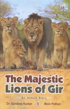 The Majestic Lions Of Gir