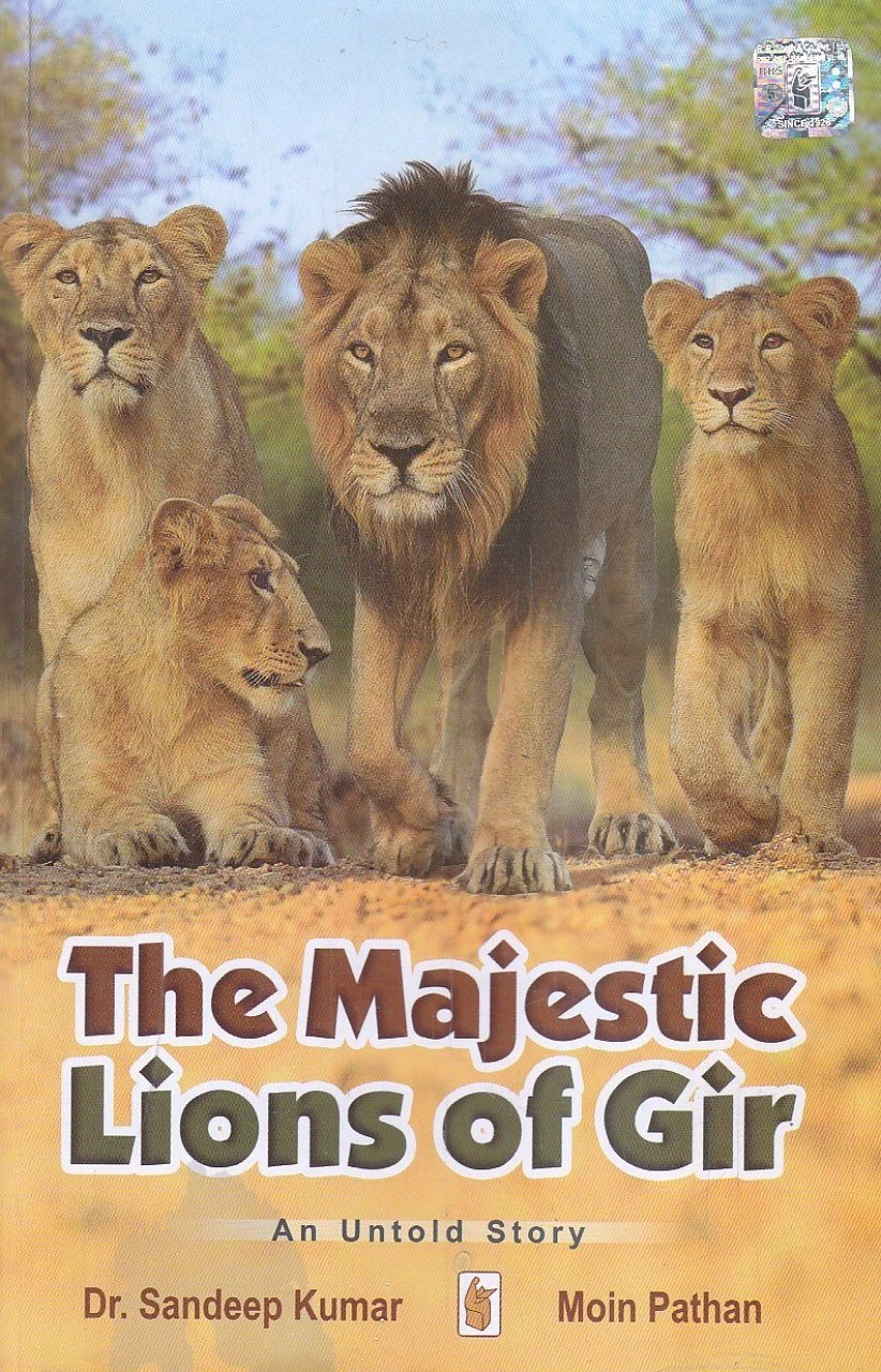 The Majestic Lions Of Gir 3 The Majestic Lions Of Gir