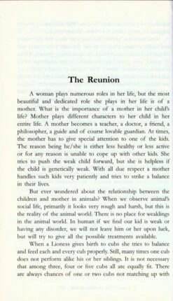 The Majestic Lions Of Gir 8 The Majestic Lions Of Gir -Wildlife Professional Books 225665 2